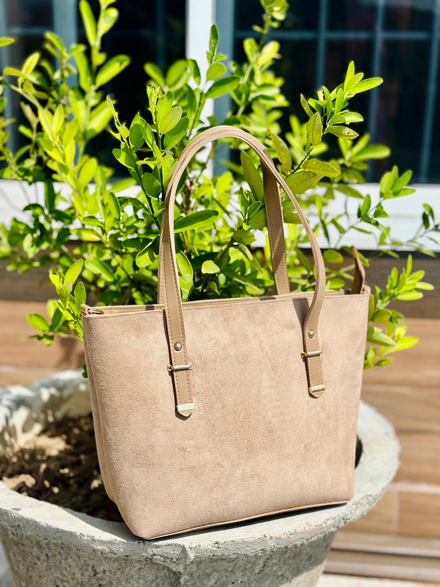 Dune